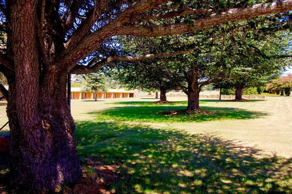 Motel Snowy Mountains Resort And Function Centre 3*