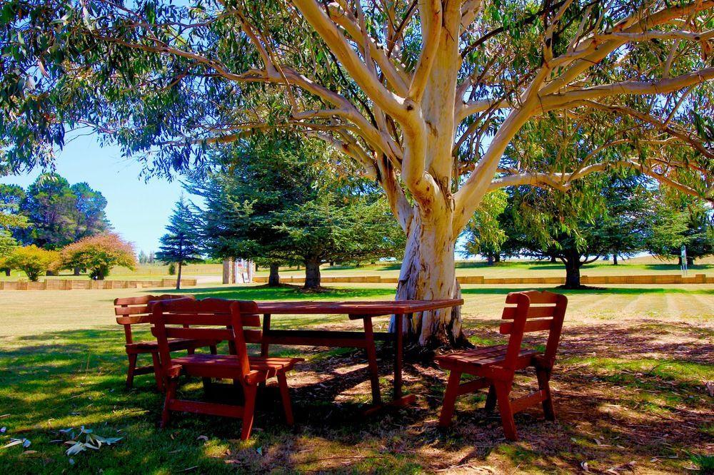 Snowy Mountains Resort And Function Centre Motel 3*